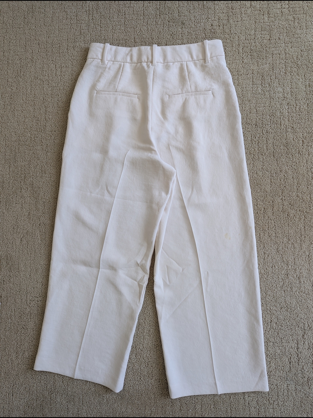 Wilfred Aritzia The Effortless Pant 8 Light Birch Crepette Pleated Cropped Work - Picture 2 of 7